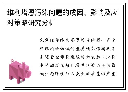 维利塔恩污染问题的成因、影响及应对策略研究分析